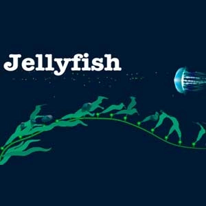 Jellyfish Pc