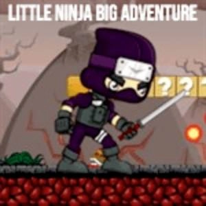 Little Ninja Big Adventure Pc