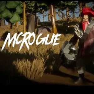 McRogue Pc