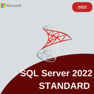 Microsoft SQL Server 2022 Standard Pc
