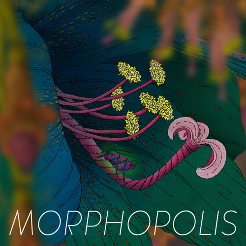 Koop Morphopolis CD Key Compare Prices