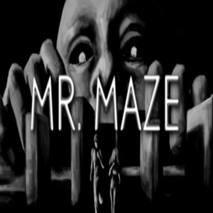 Mr. Maze Pc