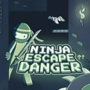 Ninja Escape Danger Pc