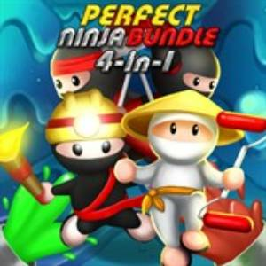 Perfect Ninja Bundle Xbox Series X