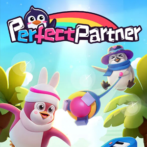 Perfect Partner Pc