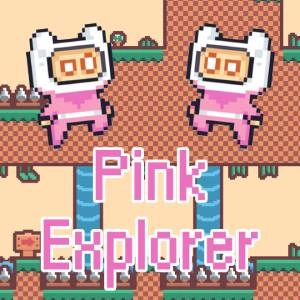 Pink Explorer Switch
