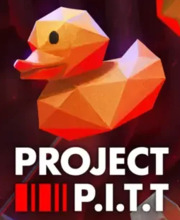 Koop Project P.I.T.T. Key Goedkoop Vergelijk de Prijzen