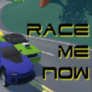 Race me now Pc