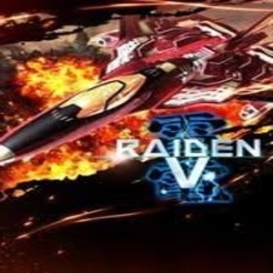 Raiden 5