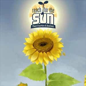 Reach for the Sun Pc