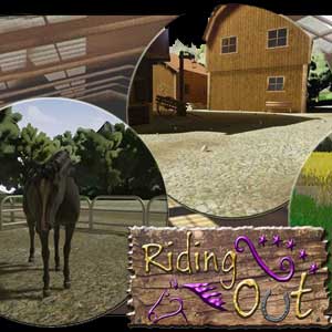 Koop Riding Out CD Key Compare Prices