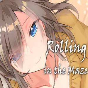 Koop Rolling in the Maze CD Key Goedkoop Vergelijk de Prijzen