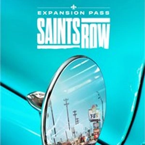 Saints Row Expansion Pass Pc