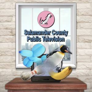 Koop Salamander County Public Television Xbox One Goedkoop Vergelijk de Prijzen