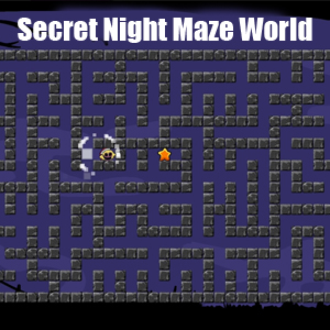Koop Secret Night Maze World Goedkoop Vergelijk de Prijzen