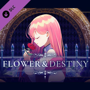 Sixtar Gate STARTRAIL Flower & Destiny Pack Switch