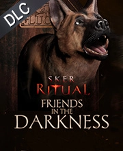 Sker Ritual Friends in the Darkness Pc