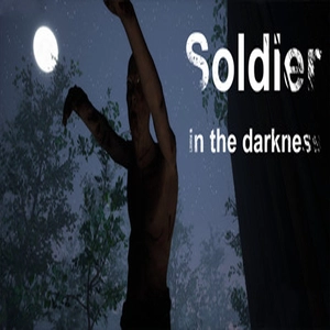 Soldier in the darkness