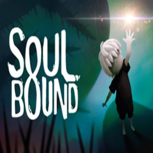 SOULBOUND Pc