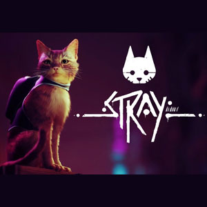 Koop Stray PS5 Goedkoop Vergelijk de Prijzen