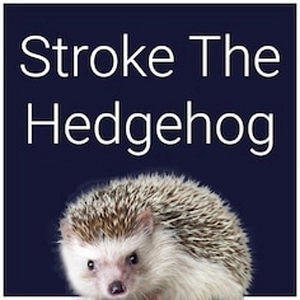Stroke The Hedgehog Playstation 4