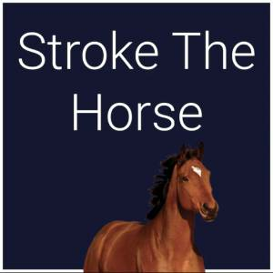Stroke The Horse Playstation 5