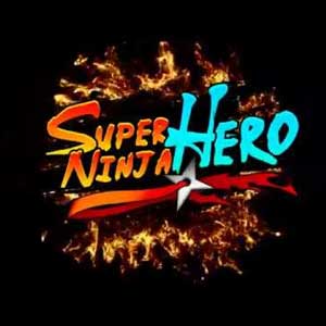 Koop Super Ninja Hero VR CD Key Compare Prices