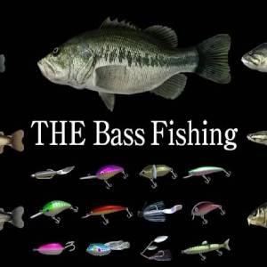 THE Bass Fishing Switch