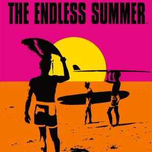 Koop The Endless Summer Surfing Challenge CD Key Goedkoop Vergelijk de Prijzen