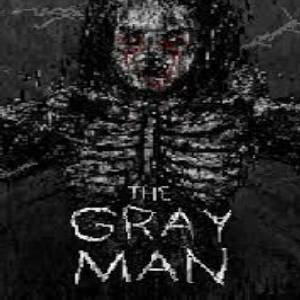 The Gray Man Pc