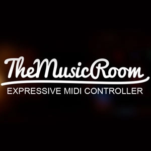 The Music Room Pc