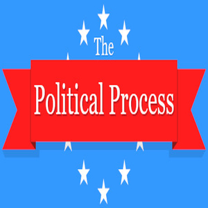 Koop The Political Process CD Key Goedkoop Vergelijk de Prijzen