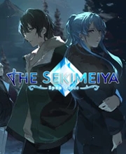 Koop The Sekimeiya Spun Glass Nintendo Switch Goedkope Prijsvergelijke