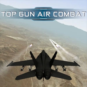 Top Gun Air Combat Pc