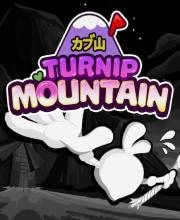 Turnip Mountain Switch