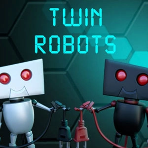 Twin Robots