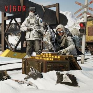 Vigor DayZ Frostline pack Pc