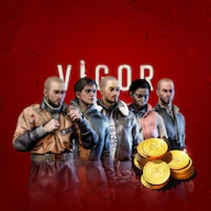 VIGOR STARTER PACK Playstation 4