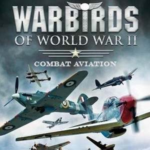 Koop WarBirds World War 2 Combat Aviation CD Key Compare Prices