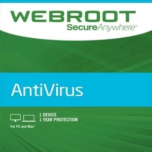 Webroot SecureAnywhere AntiVirus 2021 Pc