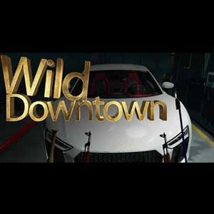 Wild Downtown Pc
