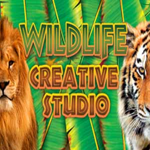 Koop Wildlife Creative Studio CD Key Compare Prices