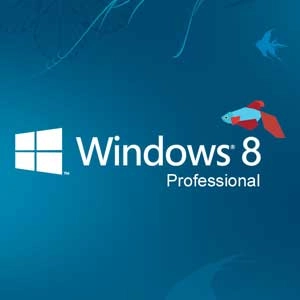 Windows 8 Professional Microsoft Pc