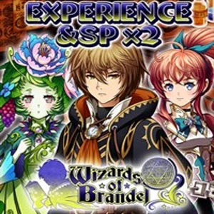 Wizards of Brandel Experience & SP x2 Playstation 4