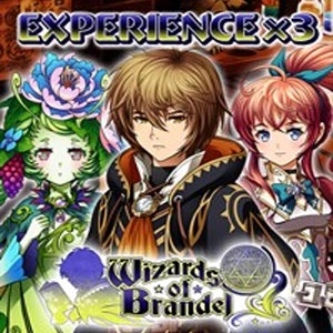Wizards of Brandel Experience x3 Switch