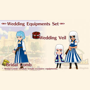 Koop WorldNeverland Elnea Kingdom Wedding Equipments Set Nintendo Switch Goedkope Prijsvergelijke