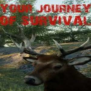 Your Journey of Survival Pc
