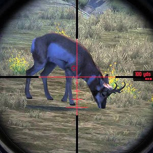 Cabela's Big Game Hunter Pro Hunts - Doelwit