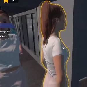 Cabin Crew Life Simulator - Passagiers