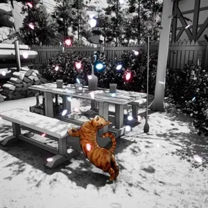 Cat Me If You Can - Oranje Kat